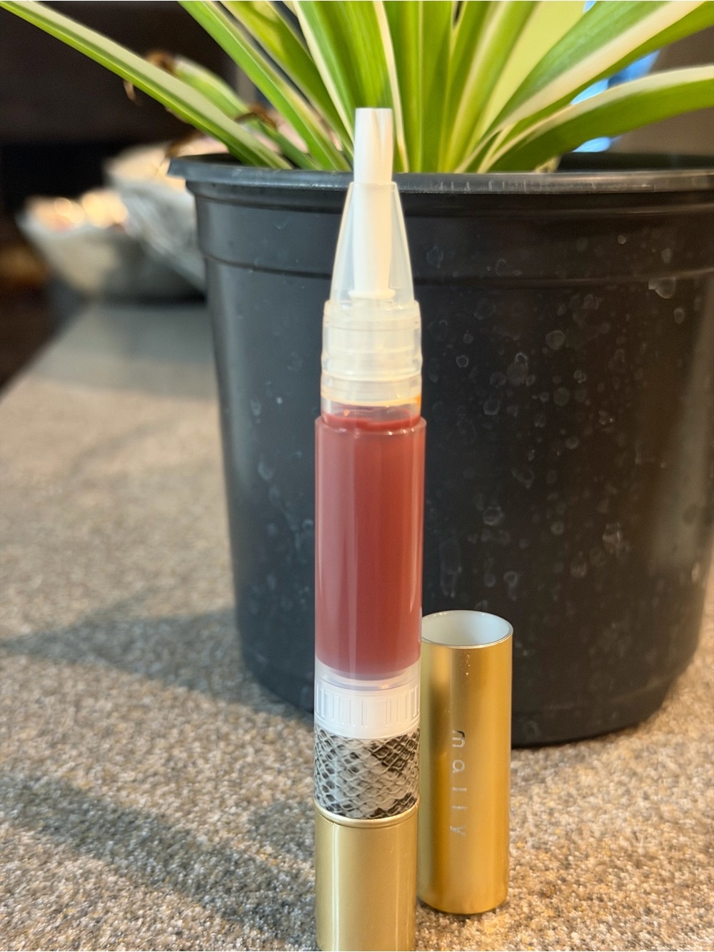 Mally Beauty Lip Gloss & Liquid Lipstick Duo in Rose Mauve